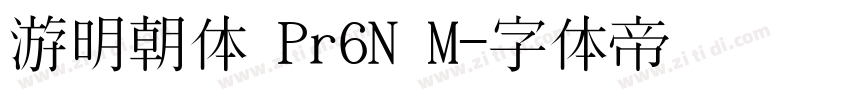 游明朝体 Pr6N M字体转换